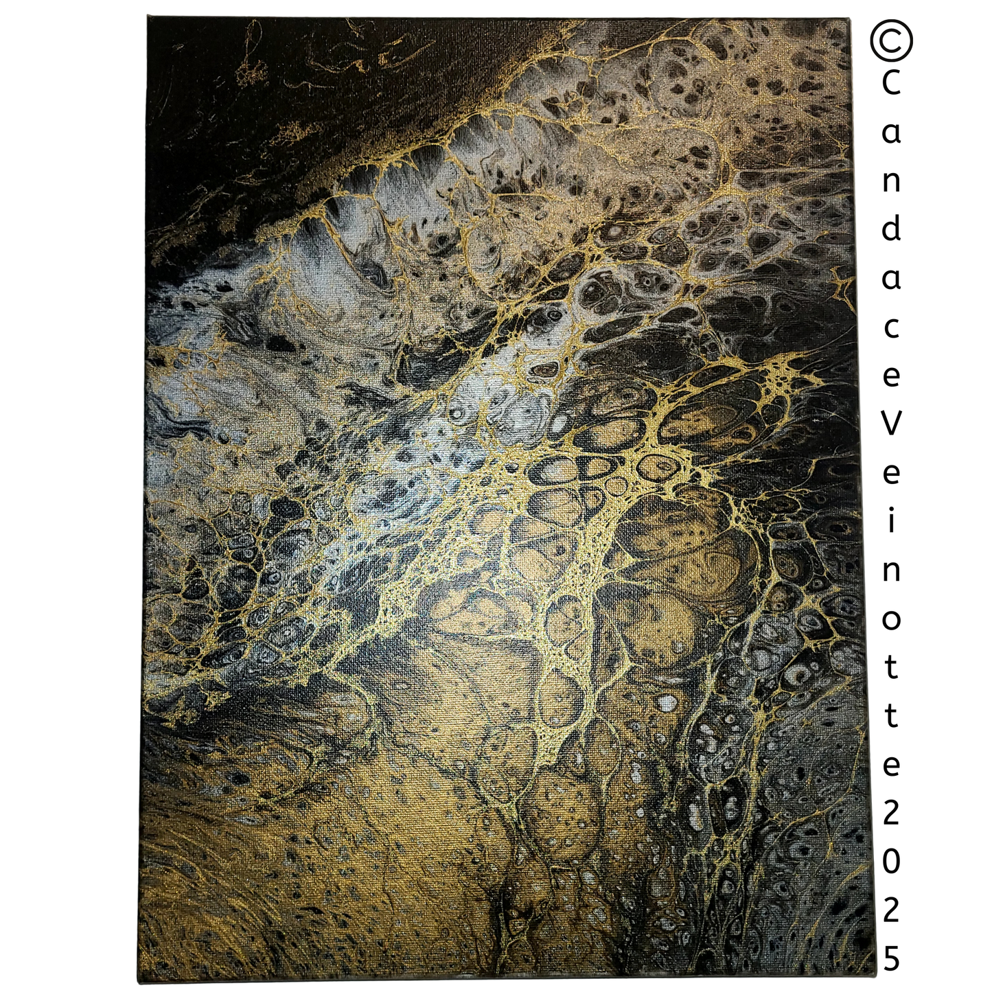 Fierce ll Original Acrylic Abstract Painting